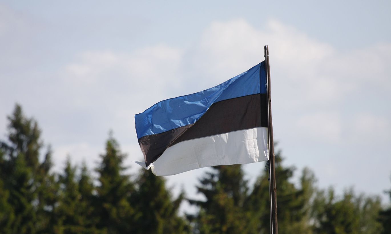 как выглядит флаг эстонии