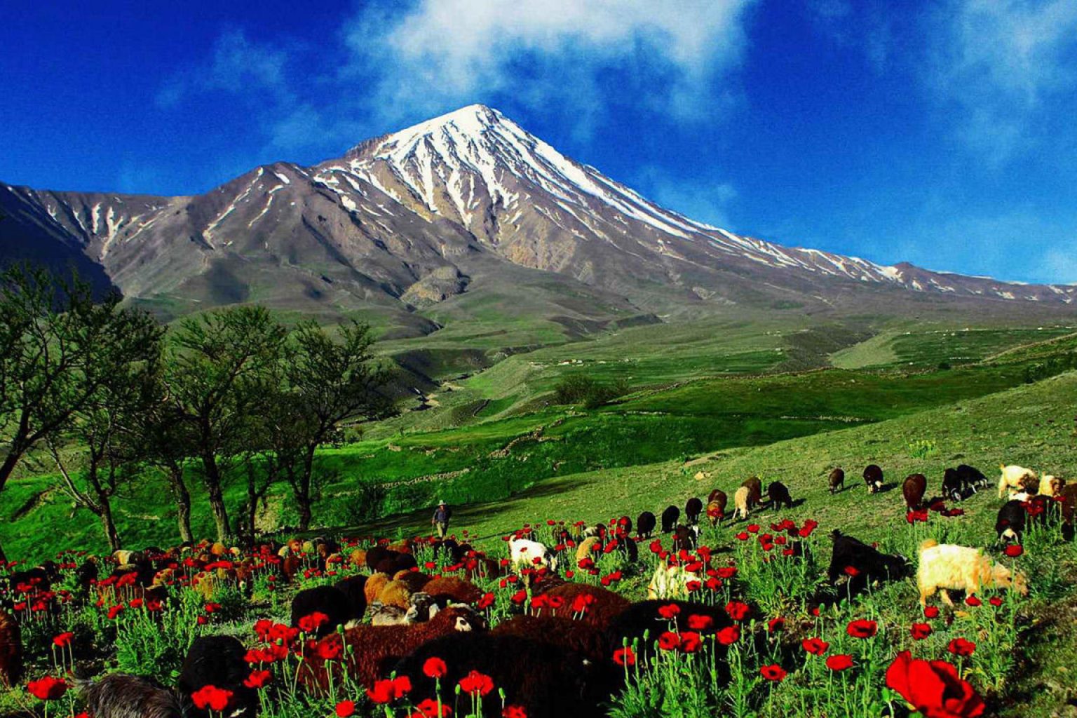 Азербайджан природа