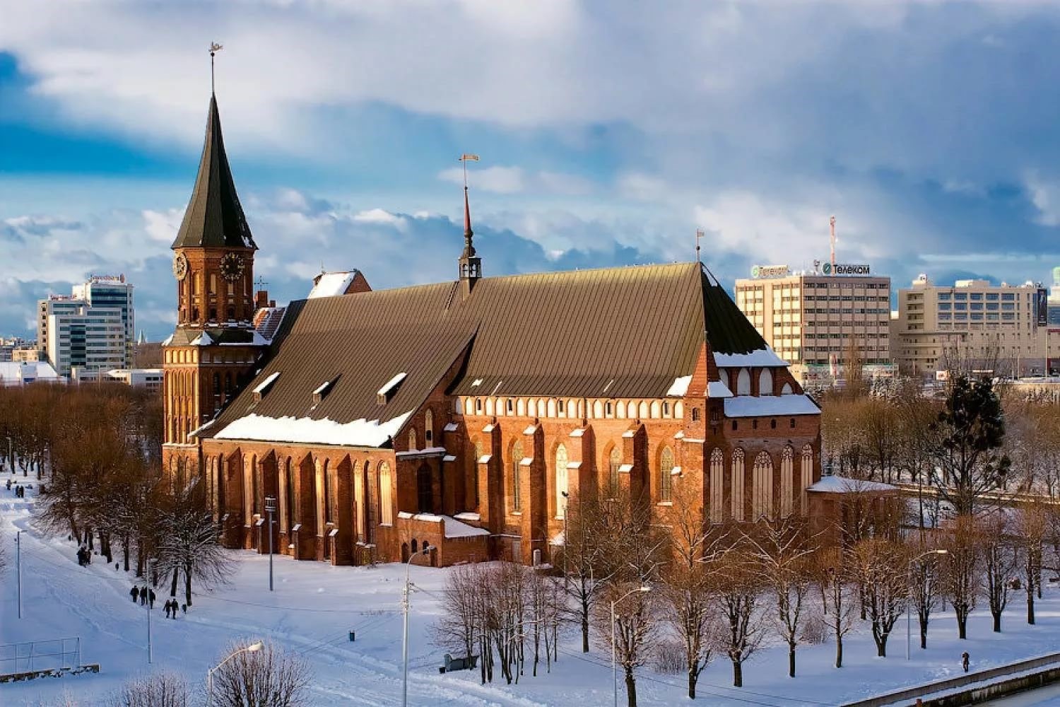 Кафедральный собор Калининград зимой