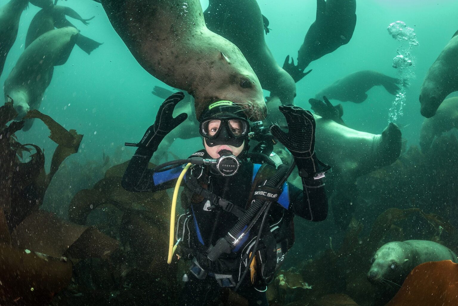 подводный мир каспийского моря